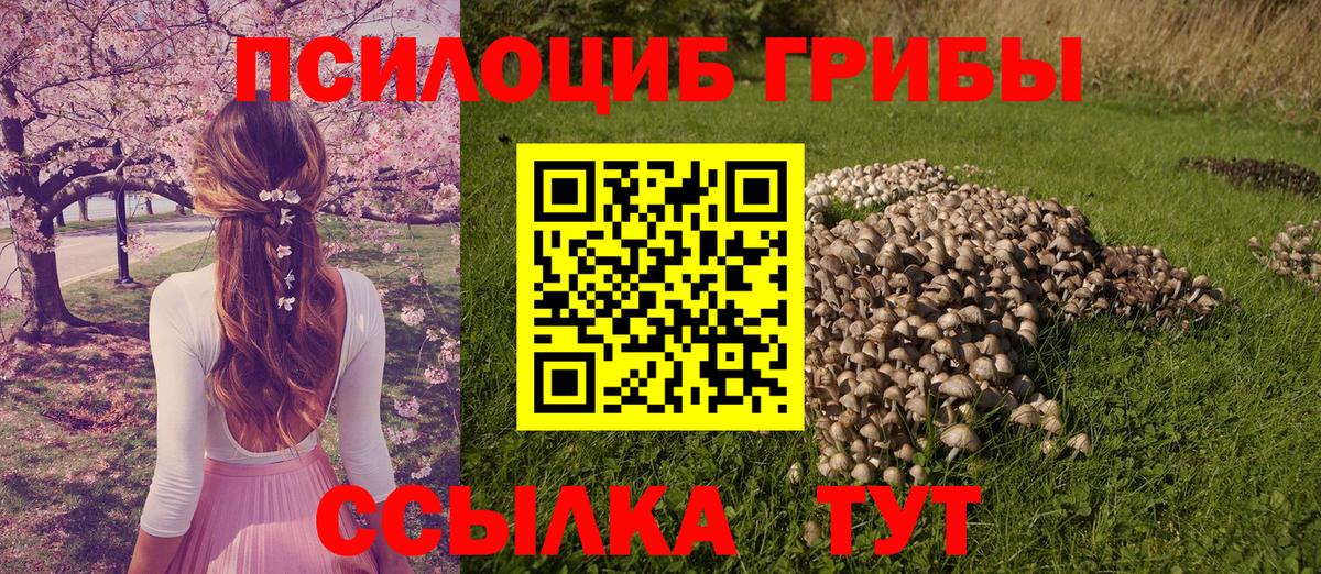 Псилоцибиновые грибы мухоморы Новочебоксарск