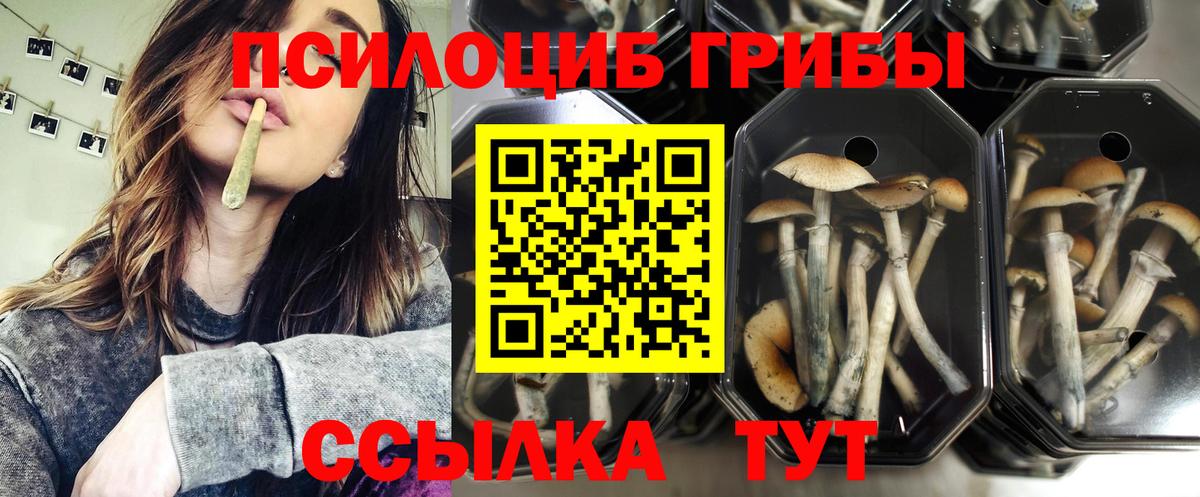 Псилоцибиновые грибы MAGIC MUSHROOMS  Вход с VPN  Галлюциногенные грибы ЛСД  Новочебоксарск 
